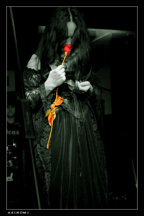 Abracadabra Gothic Tour