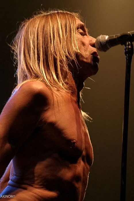 Iggy Pop