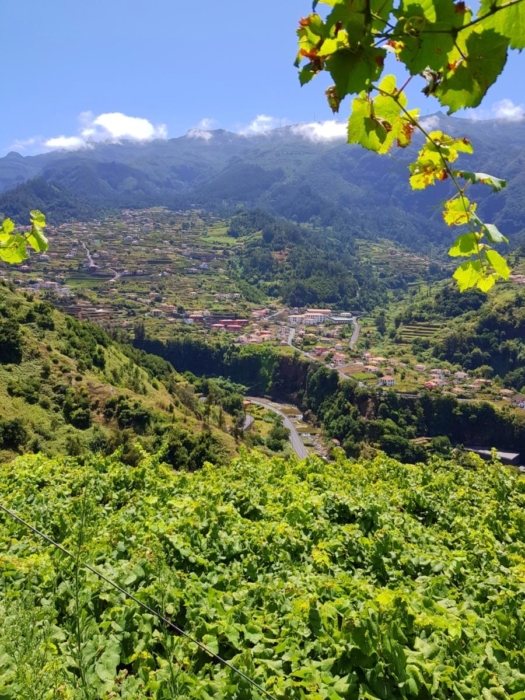 Madeira