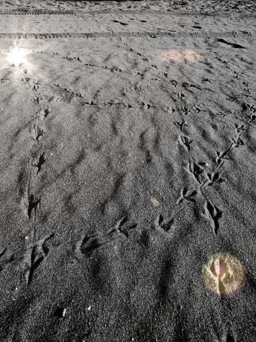 Costa Dorada, Calafell 