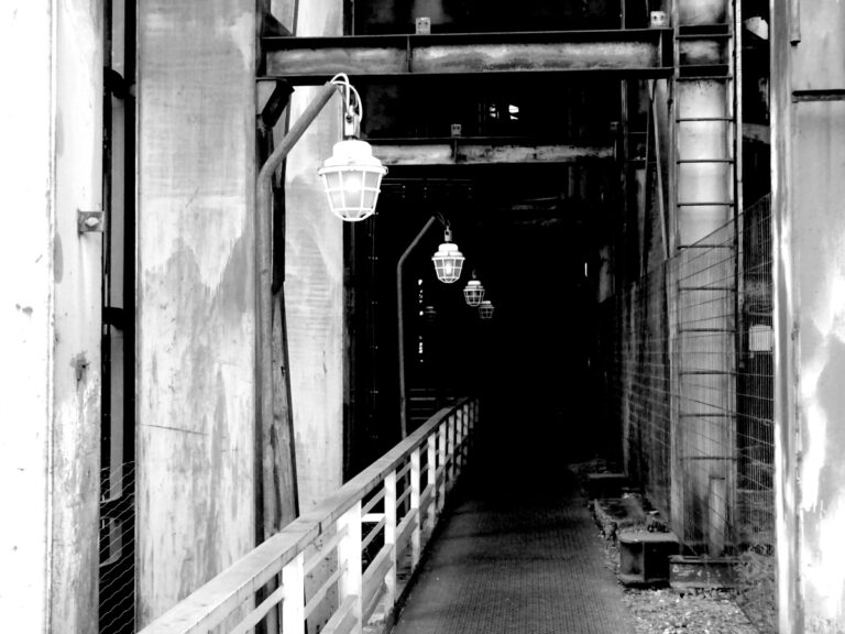 Sed in ante ac risus volutpat sollicitudin