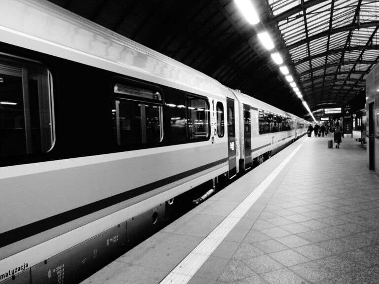 Nam commodo felis gravida ipsum volutpat volutpat